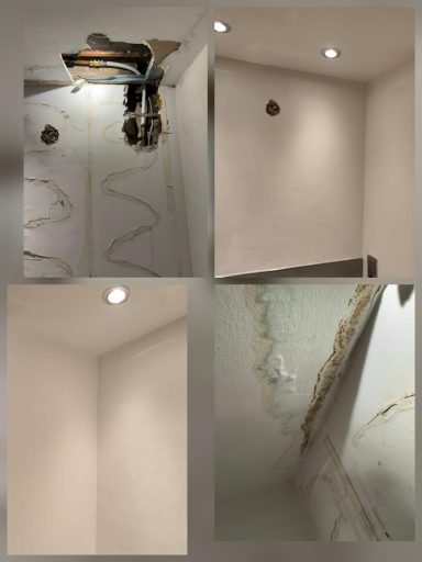 Reparaturen nach Wasserschaden